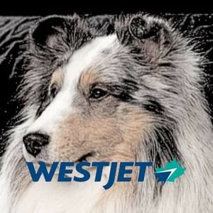 Meet your Posher, Bobbie